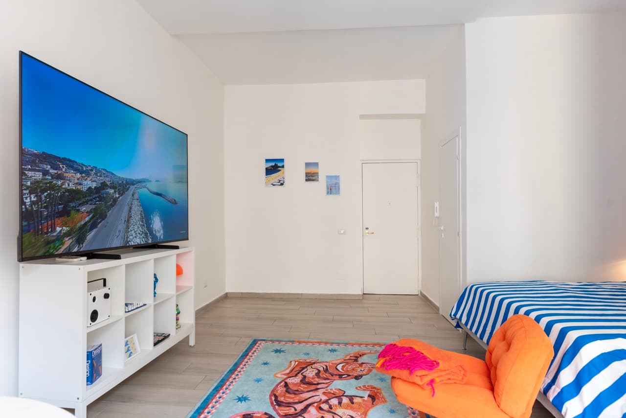 Wide shot with TV console and tiger rug
